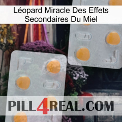Léopard Miracle Des Effets Secondaires Du Miel 25
